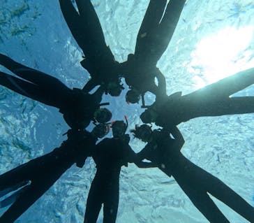 宮古島 ADVENTURE PiPi（ミヤコジマ アドベンチャー ピピ）に投稿された画像（2024/3/20）