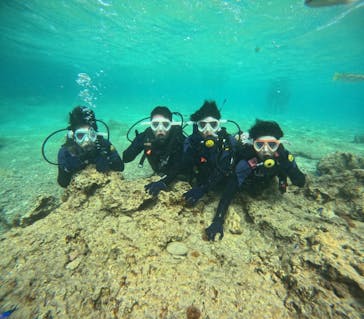 沖縄マリンサービス碧に投稿された画像（2024/3/20）