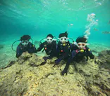 沖縄マリンサービス碧に投稿された画像（2024/3/20）