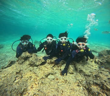 沖縄マリンサービス碧に投稿された画像（2024/3/20）