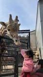 宇都宮動物園に投稿された画像（2024/3/20）