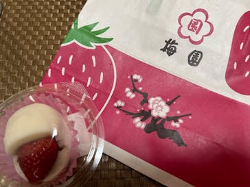 OSAKA Strawberry Festivalに投稿された画像（2024/3/20）