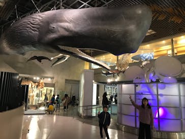 国立科学博物館に投稿された画像（2024/3/20）