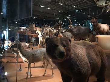 国立科学博物館に投稿された画像（2024/3/20）