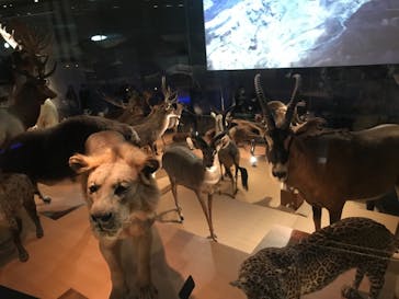 国立科学博物館に投稿された画像（2024/3/20）