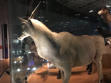 国立科学博物館に投稿された画像（2024/3/20）