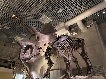 国立科学博物館に投稿された画像（2024/3/20）
