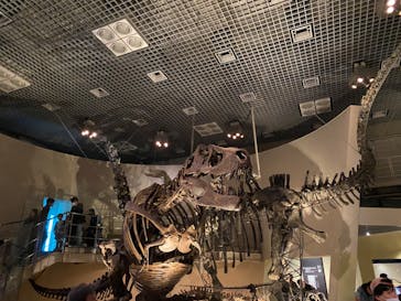 国立科学博物館に投稿された画像（2024/3/20）