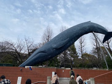 国立科学博物館に投稿された画像（2024/3/20）