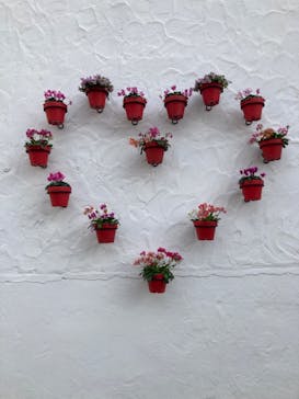 志摩スペイン村パルケエスパーニャに投稿された画像（2024/3/20）