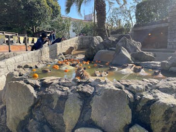 伊豆シャボテン動物公園に投稿された画像（2024/3/20）