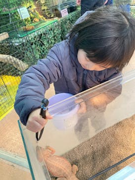 いきもの探検隊上尾に投稿された画像（2024/3/20）