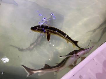 南知多ビーチランド＆南知多おもちゃ王国に投稿された画像（2024/3/20）