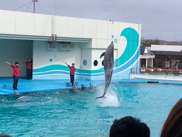 南知多ビーチランド＆南知多おもちゃ王国に投稿された画像（2024/3/20）