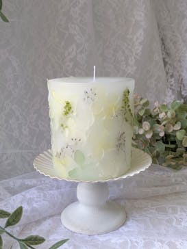 ずこうしつ〜sugamo〜に投稿された画像（2024/3/20）