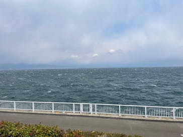 大分マリーンパレス水族館 「うみたまご」に投稿された画像（2024/3/20）