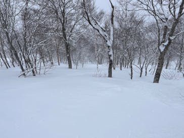 かぐらスキー場に投稿された画像（2024/3/20）