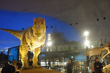 福井県立恐竜博物館に投稿された画像（2024/3/20）