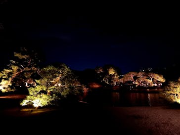 六義園に投稿された画像（2024/3/20）