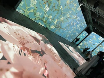 ゴッホ・アライブに投稿された画像（2024/3/20）