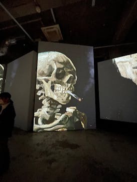 ゴッホ・アライブに投稿された画像（2024/3/20）