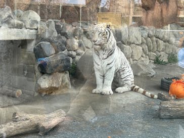 東武動物公園に投稿された画像（2024/3/20）