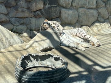 東武動物公園に投稿された画像（2024/3/20）