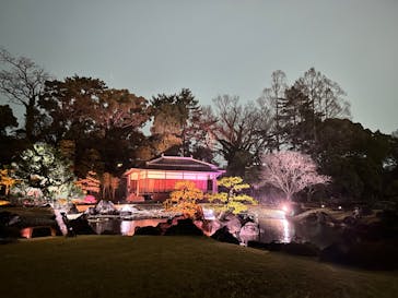 NAKED meets 二条城 2025 観月に投稿された画像（2024/3/20）