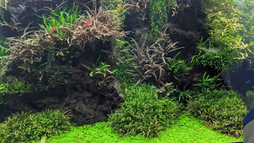 すみだ水族館に投稿された画像（2024/3/20）