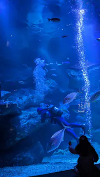 すみだ水族館に投稿された画像（2024/3/20）