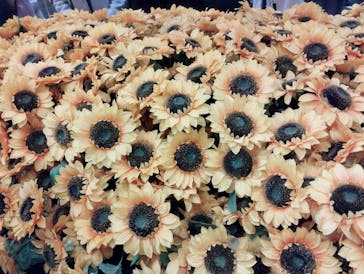 ゴッホ・アライブに投稿された画像（2024/3/20）