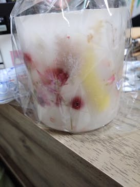 ずこうしつ〜sugamo〜に投稿された画像（2024/3/20）