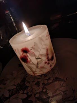 ずこうしつ〜sugamo〜に投稿された画像（2024/3/20）