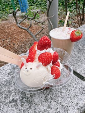 OSAKA Strawberry Festivalに投稿された画像（2024/3/20）