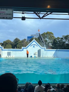 しながわ水族館に投稿された画像（2024/3/20）