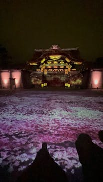 NAKED meets 二条城 2025 観月に投稿された画像（2024/3/20）