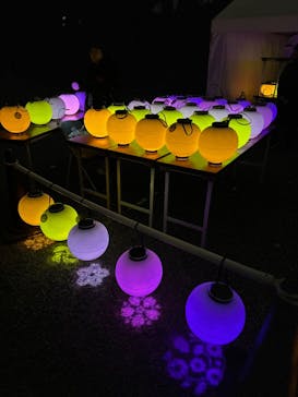 NAKED meets 二条城 2025 観月に投稿された画像（2024/3/20）