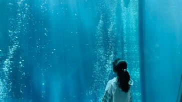 環境水族館アクアマリンふくしまに投稿された画像（2024/3/20）