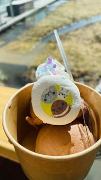 環境水族館アクアマリンふくしまに投稿された画像（2024/3/20）