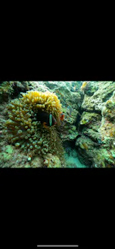 武藤潜水に投稿された画像（2024/3/21）