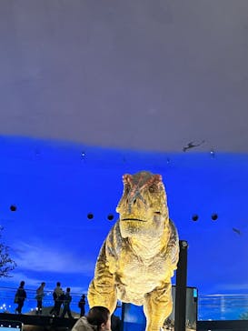 福井県立恐竜博物館に投稿された画像（2024/3/21）