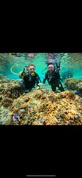 武藤潜水に投稿された画像（2024/3/21）