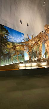 福井県立恐竜博物館に投稿された画像（2024/3/21）