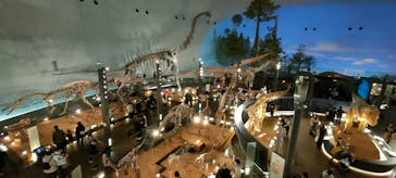 福井県立恐竜博物館に投稿された画像（2024/3/21）