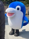 しながわ水族館に投稿された画像（2024/3/21）