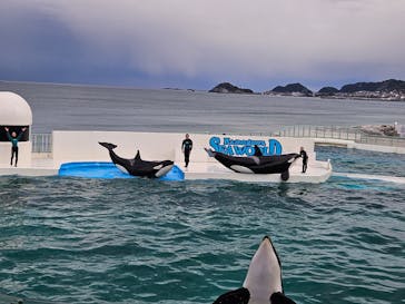 鴨川シーワールドに投稿された画像（2024/3/21）