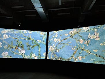 ゴッホ・アライブに投稿された画像（2024/3/21）