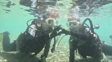 武藤潜水に投稿された画像（2024/3/21）