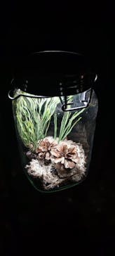 六義園に投稿された画像（2024/3/21）