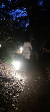 六義園に投稿された画像（2024/3/21）